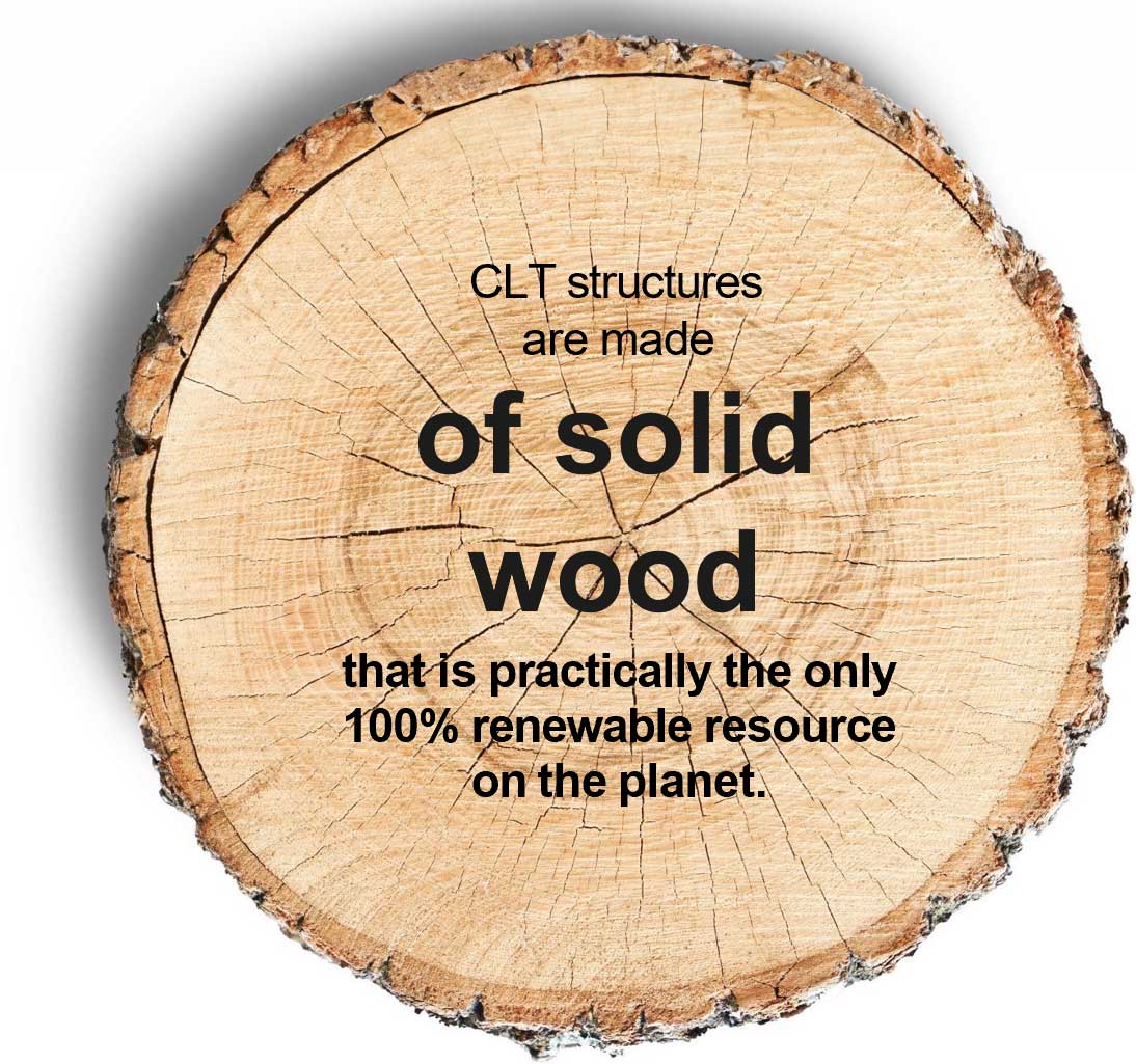 Douglas Çamı Dokusu